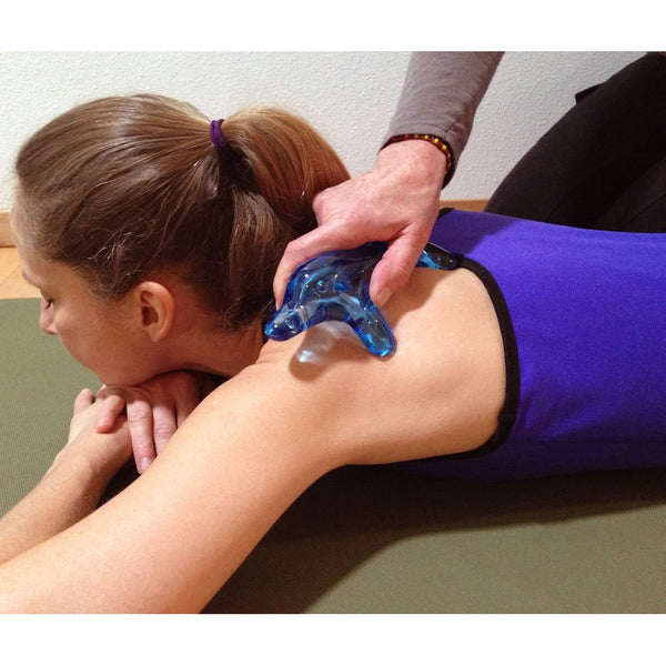 Body Back Company's Dolphin Massager